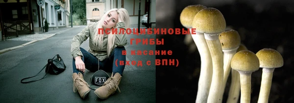 соль ск Алексеевка
