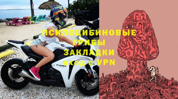 эйфоретик Нязепетровск