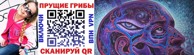 Псилоцибиновые грибы мицелий  гидра tor  Зуевка 